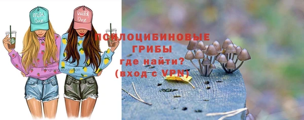 соль курить ск Богданович
