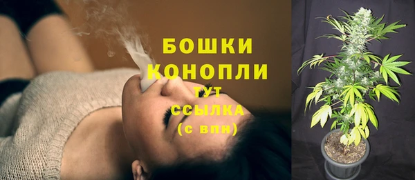 соль курить ск Богданович