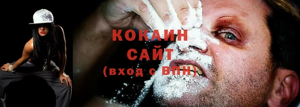 сатива Бронницы