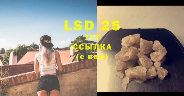 стафф Бородино