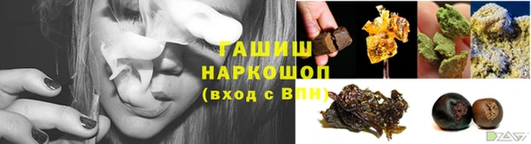 стафф Бородино