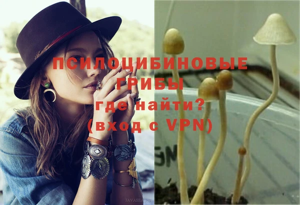 соль курить ск Богданович