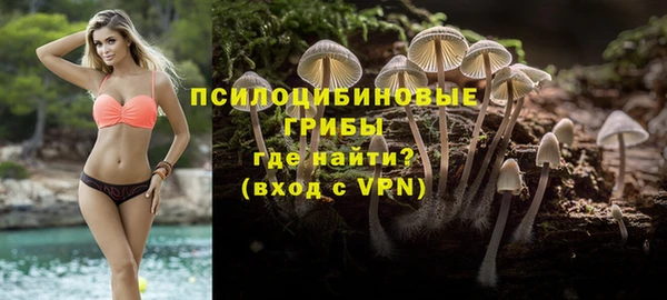 сатива Бронницы