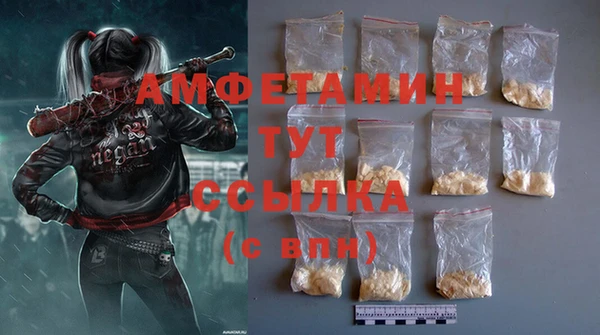 сатива Бронницы