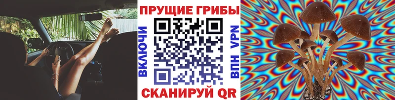 как найти наркотики  Тамбов  Галлюциногенные грибы ЛСД 